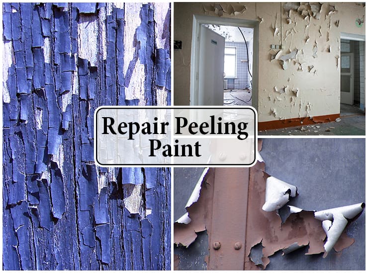 Cracked and Peeling? Here’s the Paint Rehab Your Walls Desperately Need!